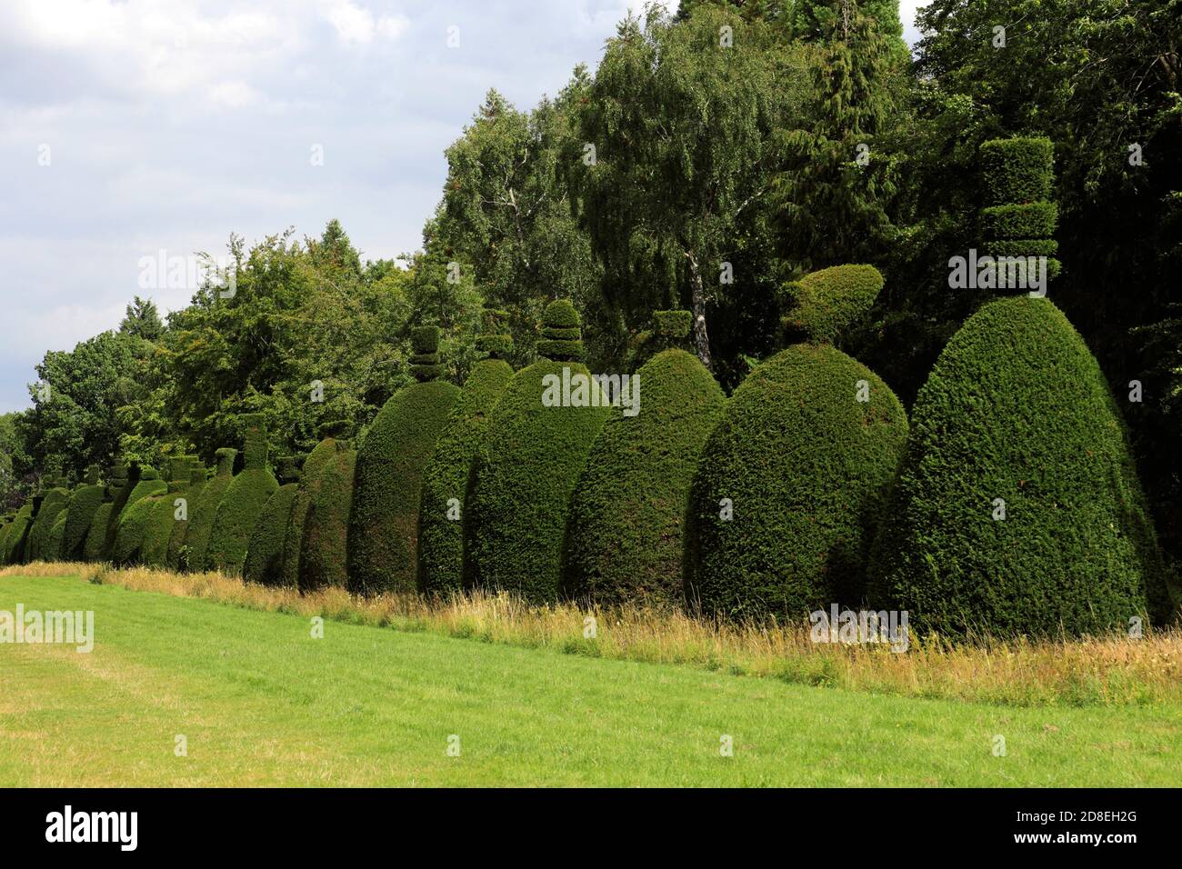 L'avenue Yew Tree au village de Clipsham; Rutland; Angleterre; Royaume-Uni Banque D'Images