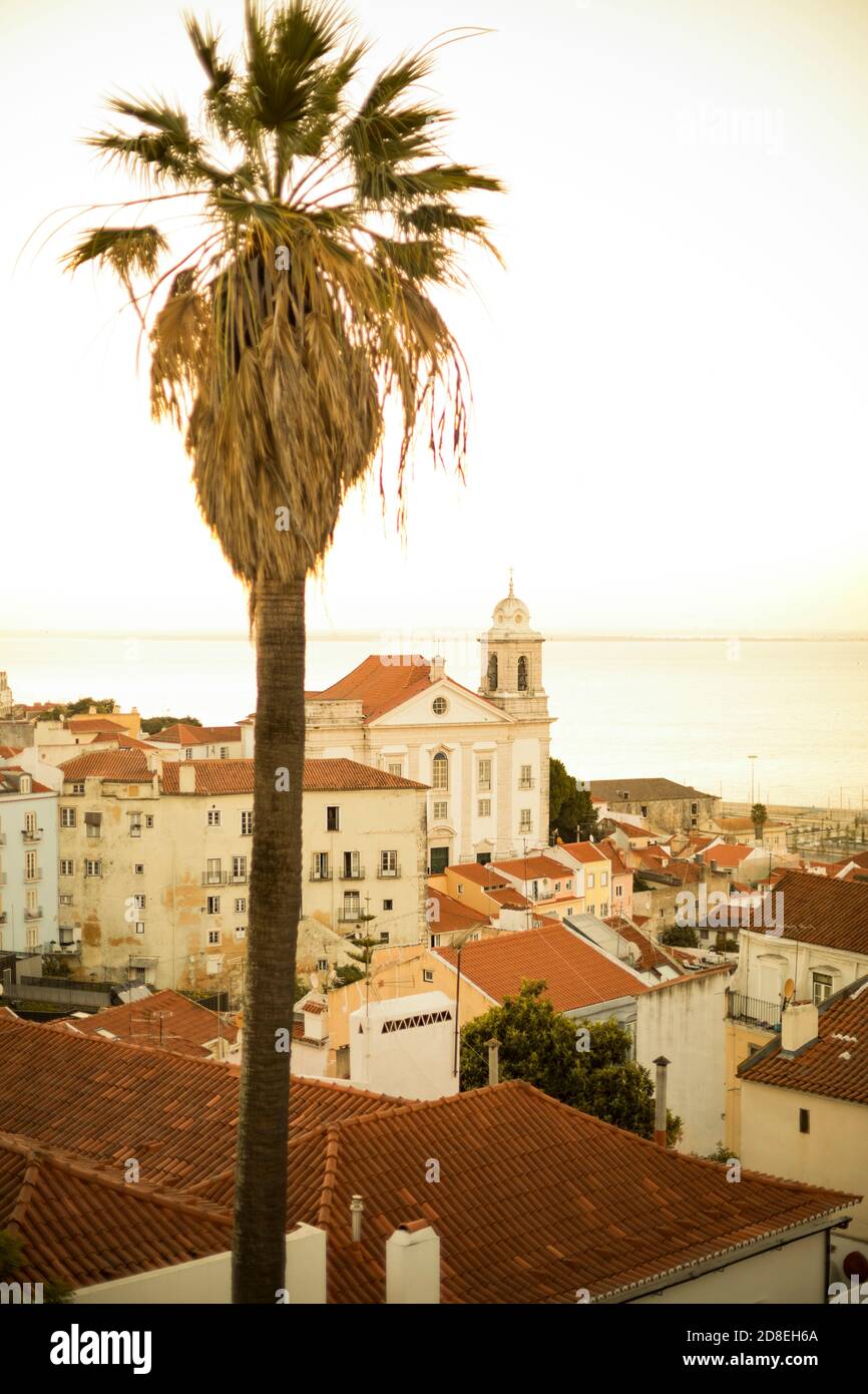 Toits à la belle architecture et l'église de Santo Estêvão dans le quartier d'Alfama à Lisbonne, Portugal, Europe. Banque D'Images