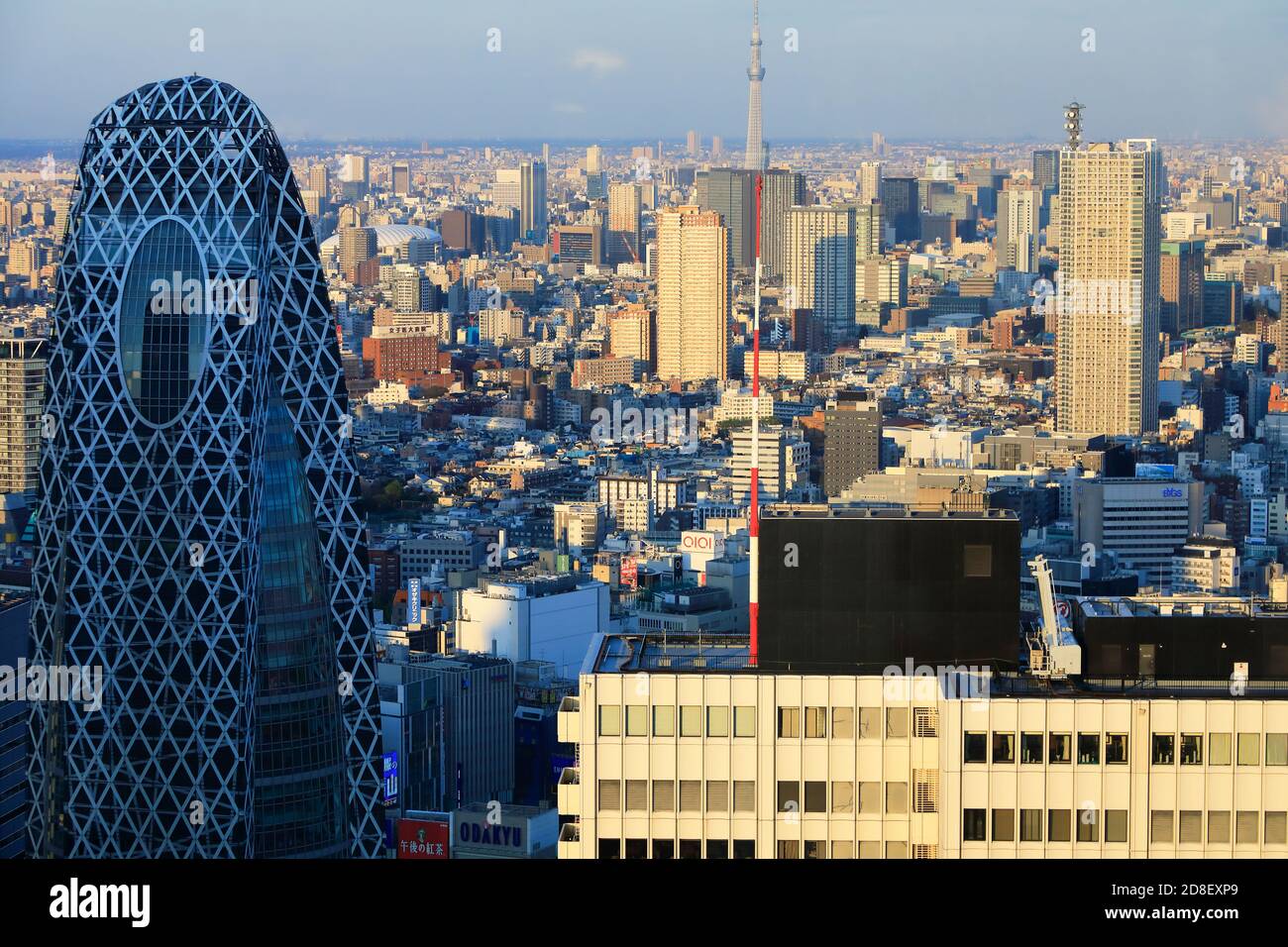 Paysage urbain de Tokyo avec le mode Gakuen Cocoon Tower à Shinjuku in Premier plan depuis les ponts d'observation du bâtiment du gouvernement métropolitain de Tokyo À Shijuku.Tokyo.Japon Banque D'Images