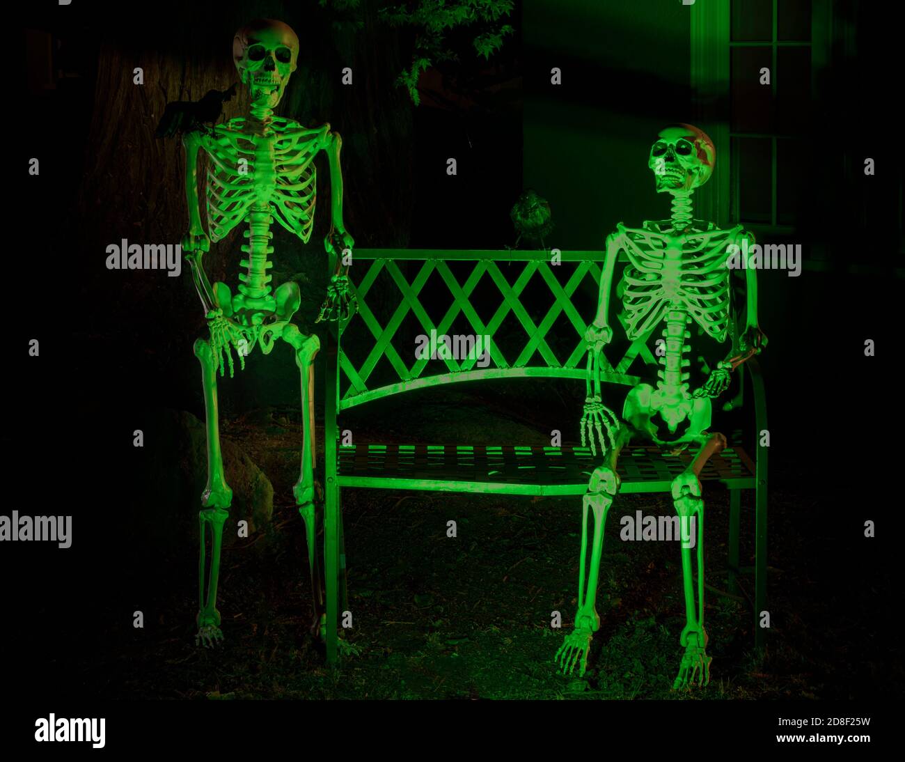 Squelettes et corneilles accrochés à l'extérieur d'une maison à Halloween fête Banque D'Images