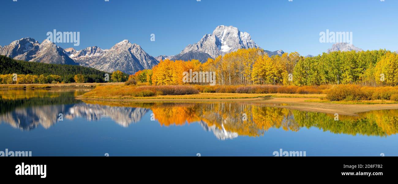 Oxbow Bend au lever du soleil. Parc national de Grand Teton, Wyoming. Fin septembre. Banque D'Images