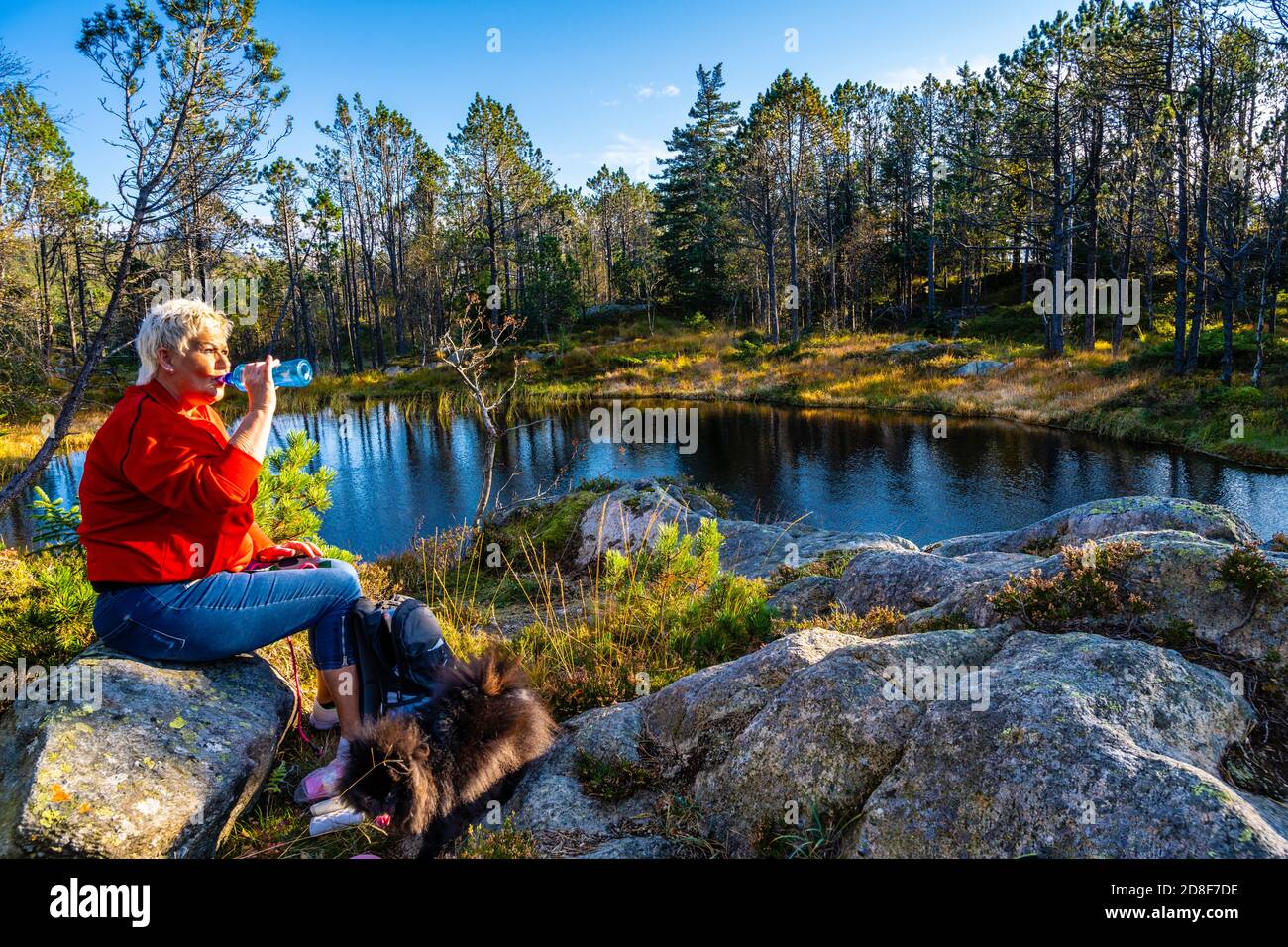 Pique-nique dans les bois du Mont Fløyen à Bergen, Norvège. Banque D'Images