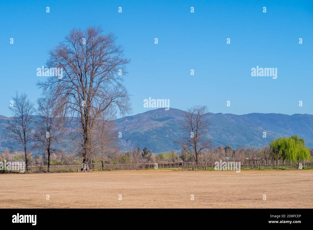 Paysage dans la vallée de Colchagua, Chili Banque D'Images