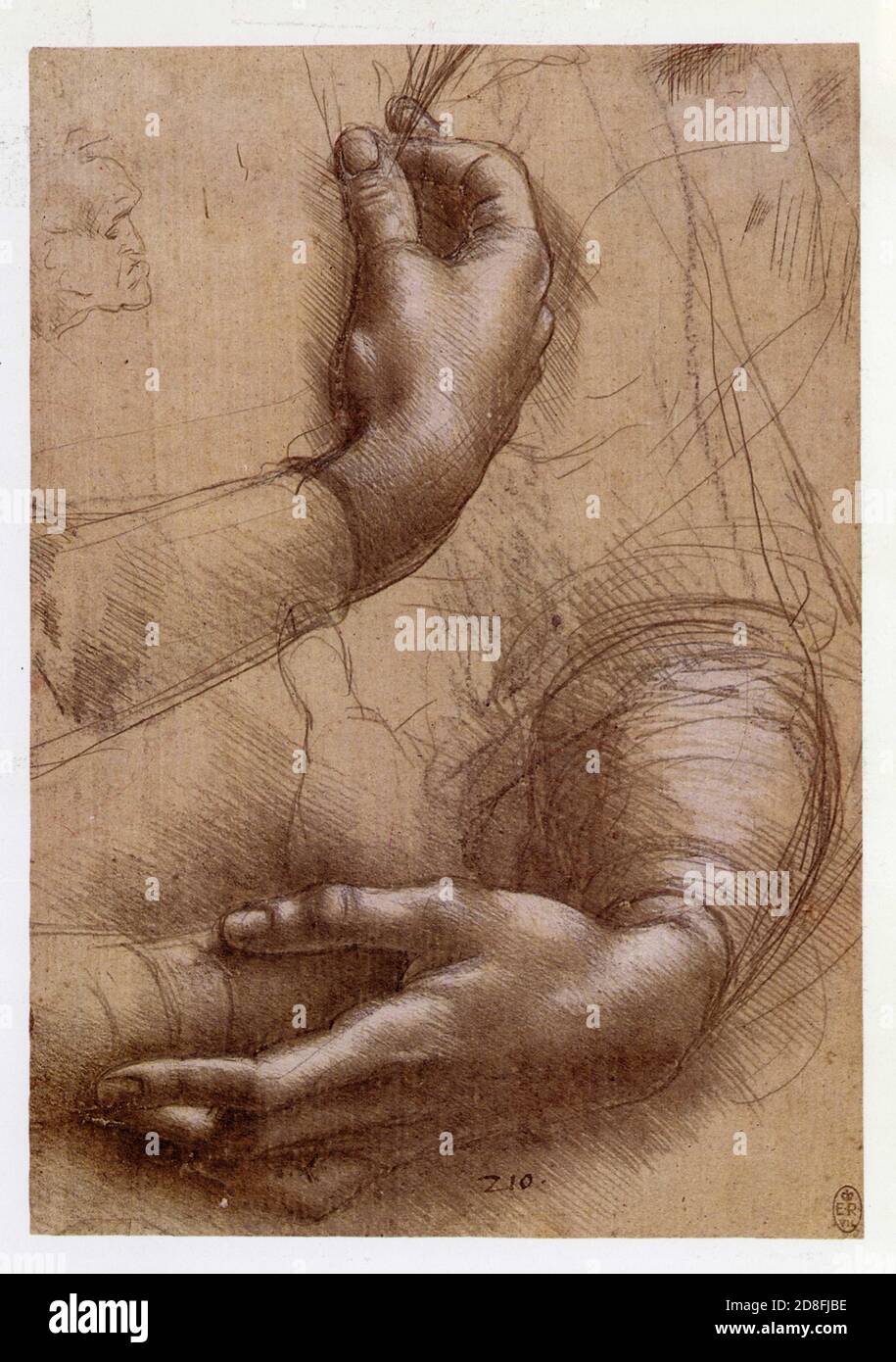 Léonard de Vinci. Étude des bras et des mains.1474. Banque D'Images