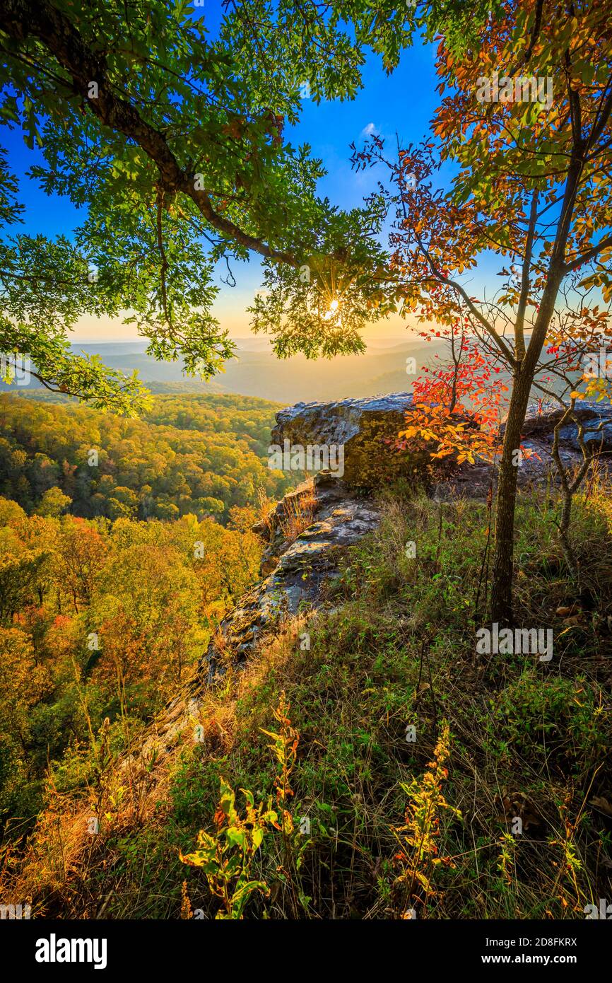 Terrain de jeux de White Rock Mountain dans la forêt nationale d'Ozark en Arkansas. Banque D'Images