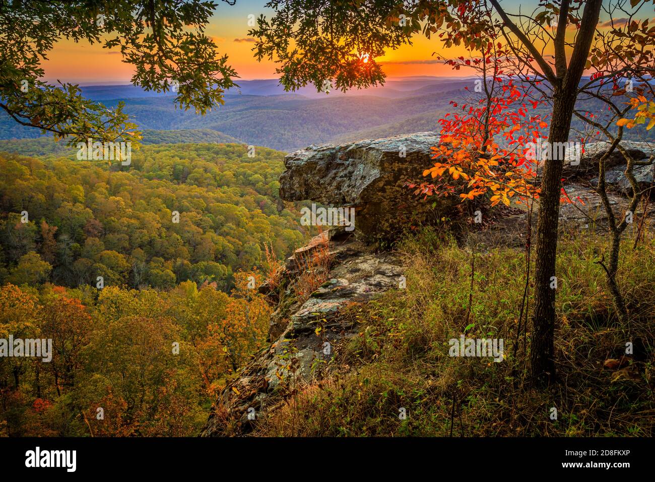Terrain de jeux de White Rock Mountain dans la forêt nationale d'Ozark en Arkansas. Banque D'Images