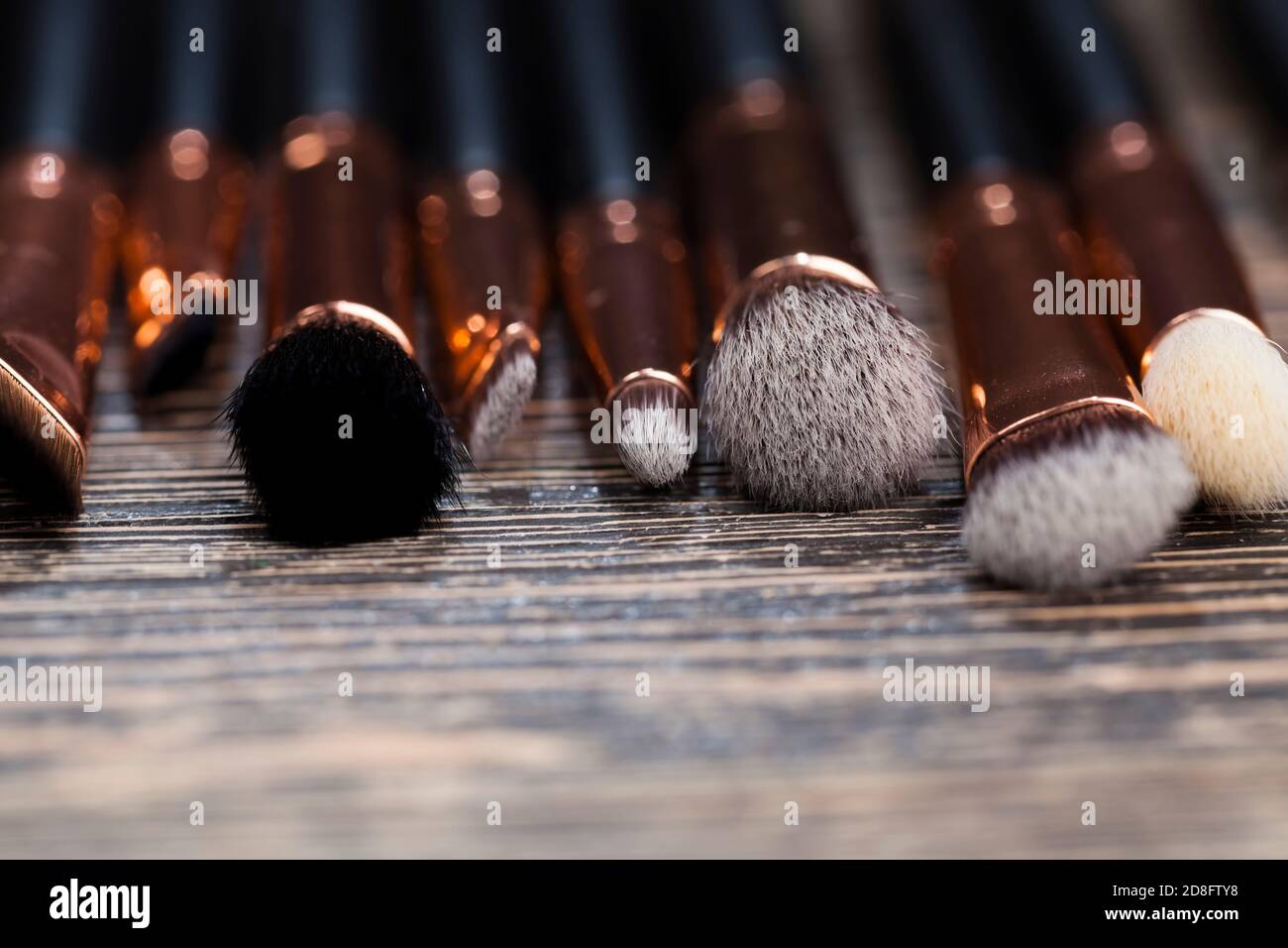 brosses professionnelles pour cosmétiques décoratifs Banque D'Images