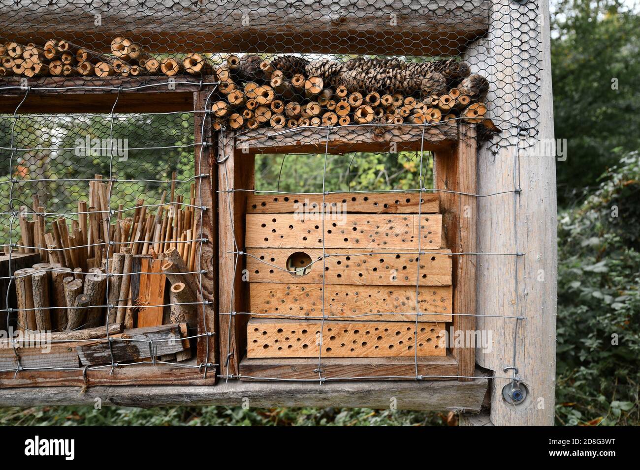 Détail d'une partie de la structure d'hôtel de maison d'insectes de bois naturel créé pour fournir un abri pour les insectes pour empêcher leur extinction Banque D'Images