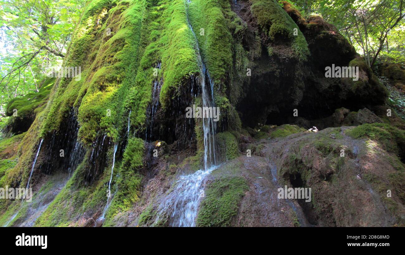 Belle chute d'eau verte célèbre couverte de mousse. Célèbre cascade située en Azerbaïdjan, Gakh. Banque D'Images