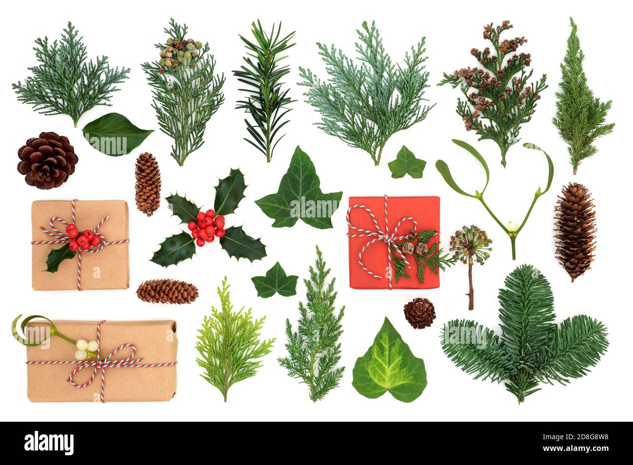 Boîtes-cadeaux de Noël écologiques avec houx d'hiver et verdure de cyprès de cèdre, genévrier et sapins avec GUI, lierre, feuilles de youf et pin Banque D'Images