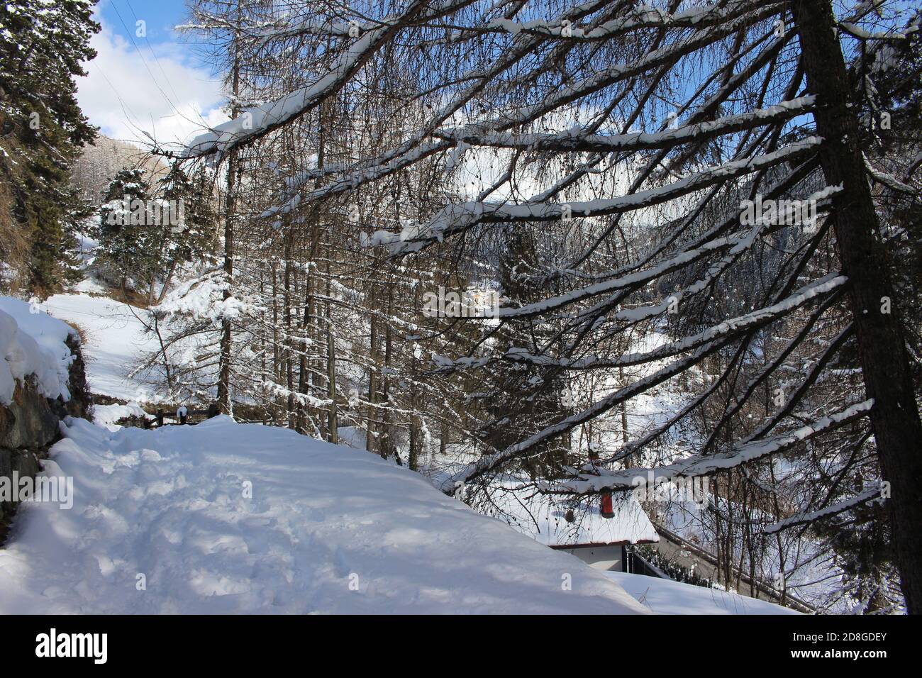 magnifique paysage de neige alpes italiennes Banque D'Images