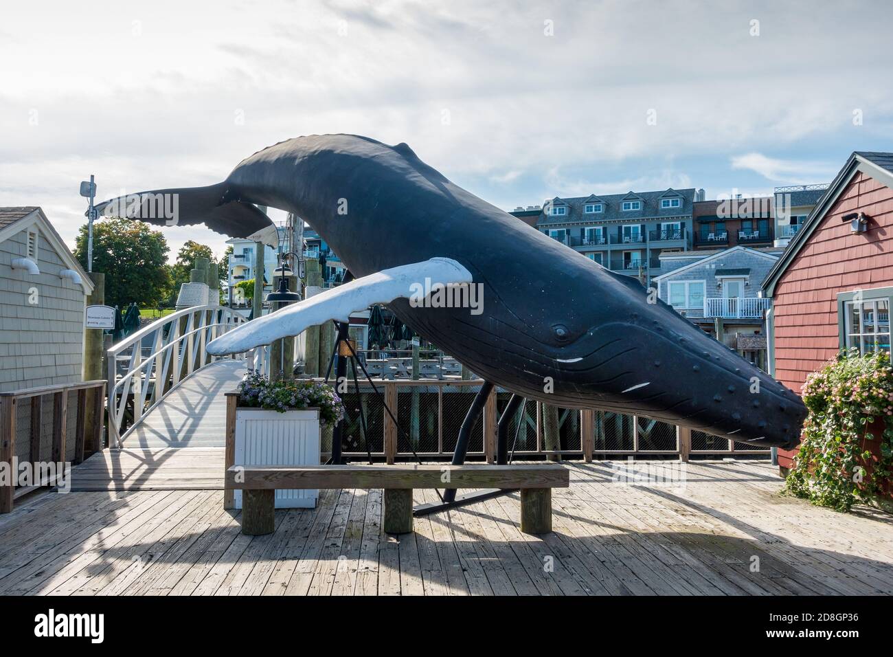 Statue de baleine à bosse Figurine Sculpture à Bar Harbor Maine USA Banque D'Images