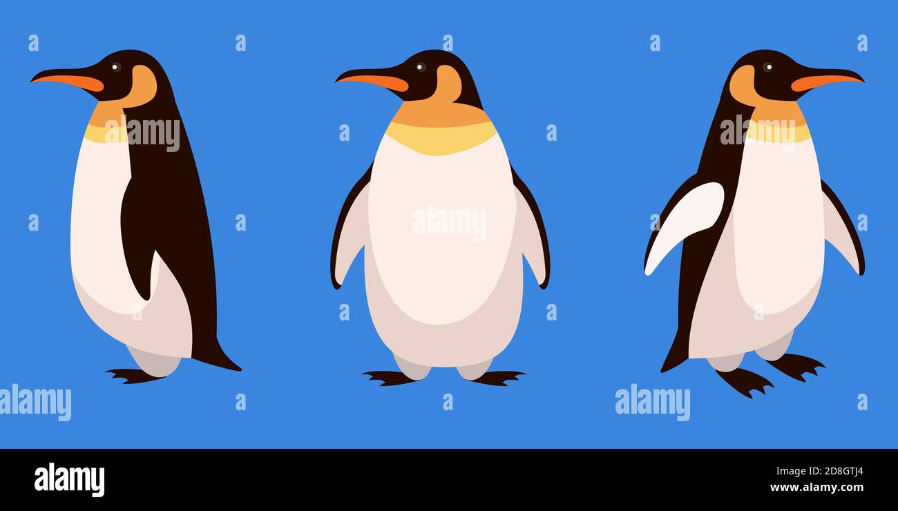 Pingouin sous différents angles. Animal arctique de style dessin animé. Illustration de Vecteur