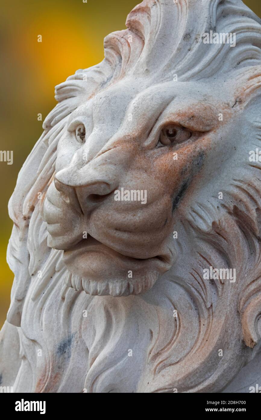 Fière statue de lion masculin dans la ville asiatique de Guilin, en Chine Banque D'Images