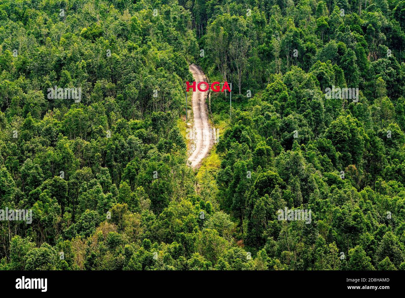 (201030) -- KUALA LUMPUR, 30 octobre 2020 (Xinhua) -- photo prise le 29 octobre 2020 montre la plantation de bois d'agar de la vallée du thé de Gaharu à Gopeng, Perak, Malaisie. POUR ALLER AVEC Spotlight: CIIE renforcer la confiance de l'entreprise malaisienne dans le marché chinois (Xinhua/Zhu Wei) Banque D'Images