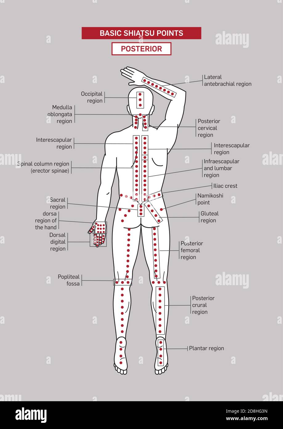 Points d'acupression shiatsu de base. Corps masculin. Illustration de Vecteur