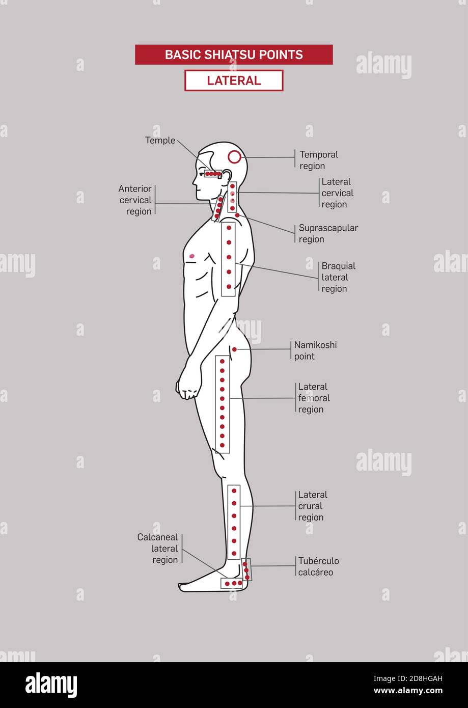 Points d'acupression shiatsu de base. Corps masculin. Illustration de Vecteur