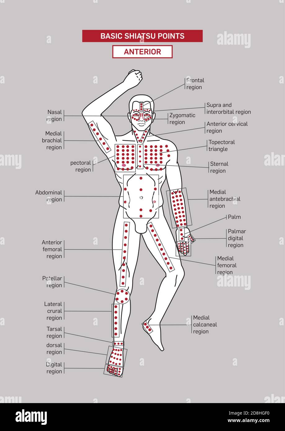 Points d'acupression shiatsu de base. Corps masculin. Illustration de Vecteur