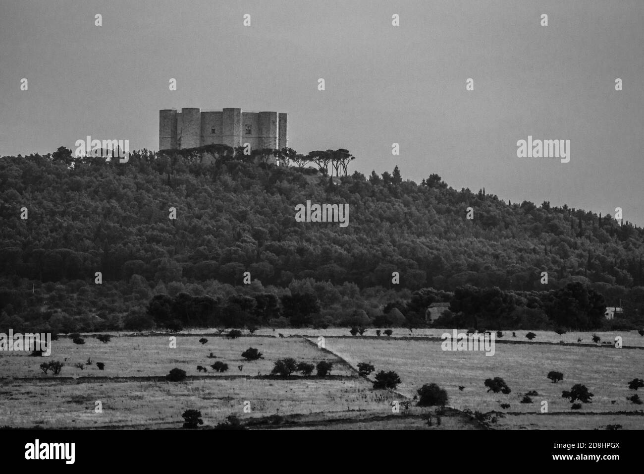 Castel del Monte est une citadelle du XIIIe siècle et un château situé sur une colline à Andria, dans la région des Pouilles, dans le sud-est de l'Italie. Banque D'Images