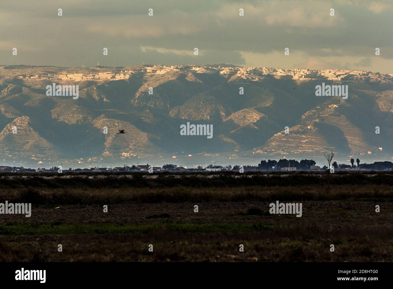 Vue de la saline au promontoire du Gargano, Puglia, Italie Banque D'Images