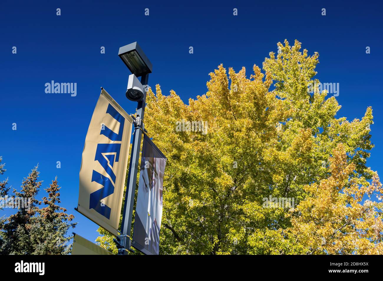Flagstaff, OCT 20, 2020 - signe de l'université de l'Arizona du Nord avec la couleur d'automne Banque D'Images