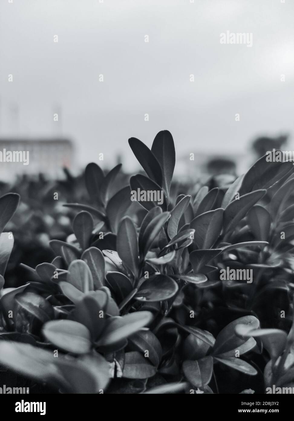 Automne automne dans notre vie Banque D'Images