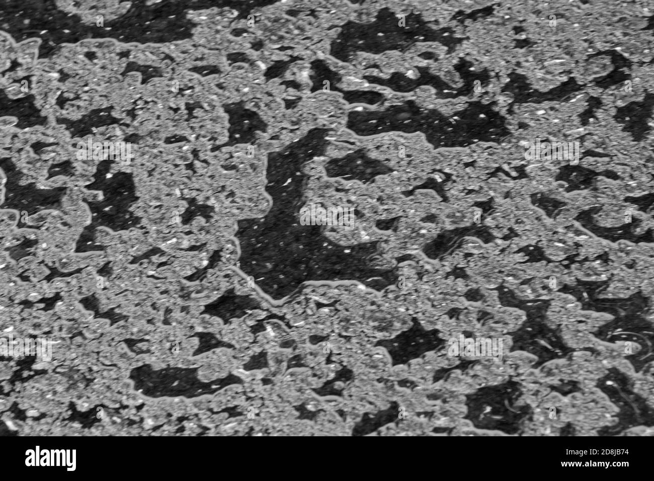 fond, surface et structures d'asphalte noir et humide après la pluie Banque D'Images