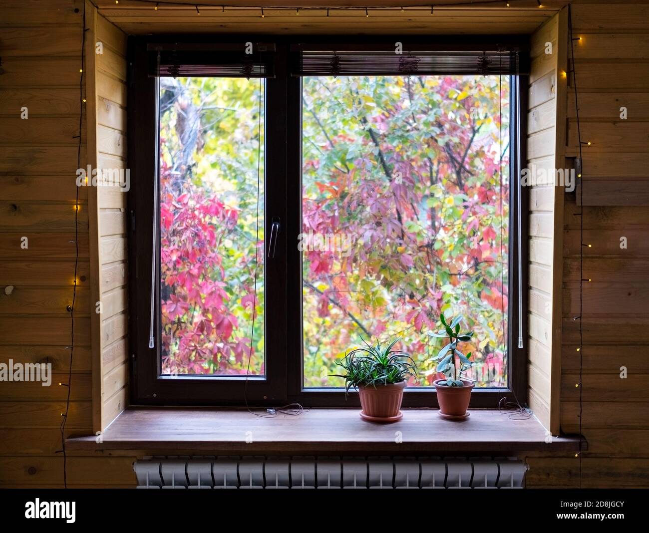 Belle vue sur les arbres colorés de l'automne par la fenêtre. Banque D'Images