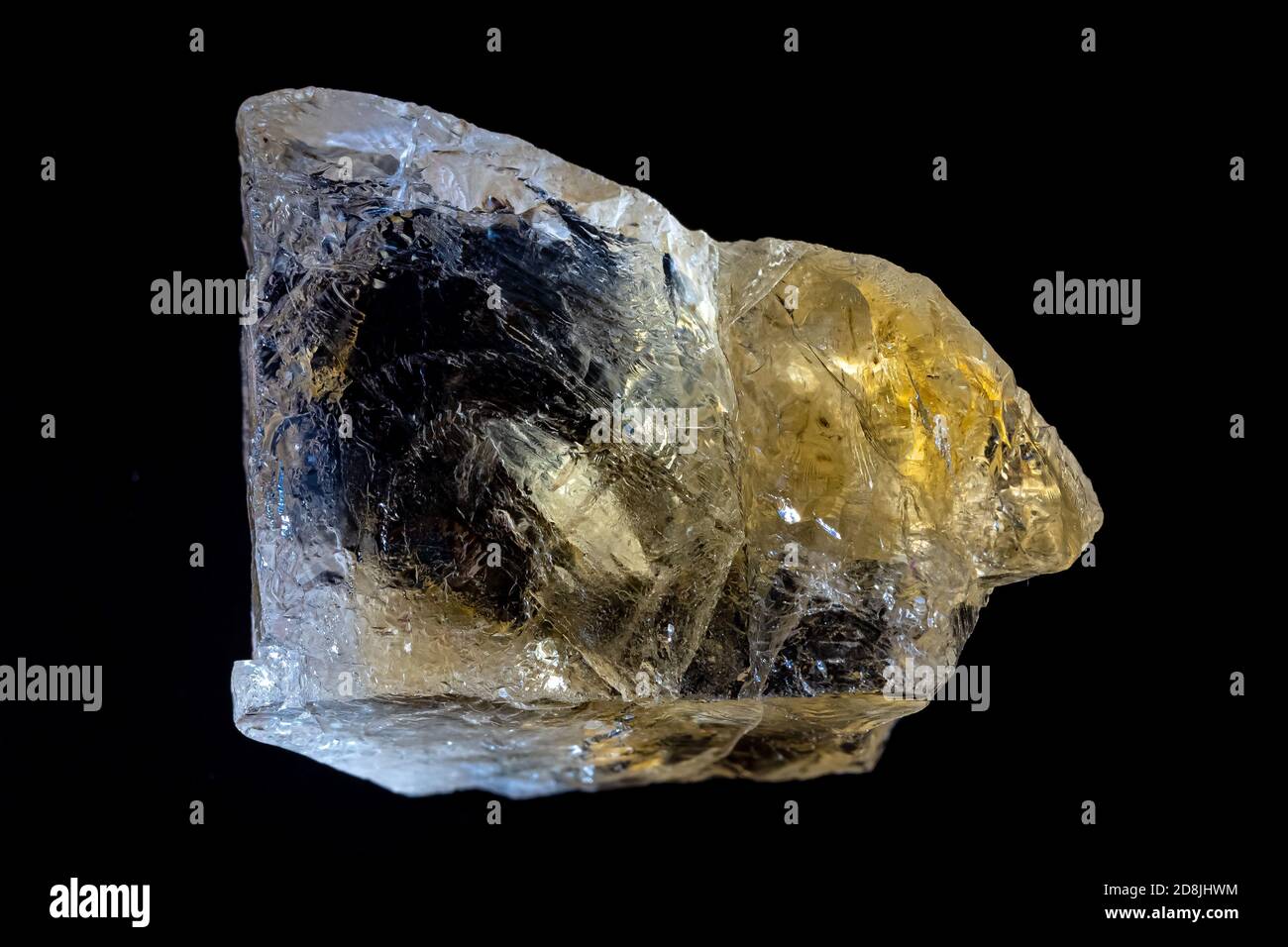 Gros plan d'un morceau de quartz citrine naturel, pierre brute jaune sur fond noir.le cristal clair et transparent crée des illusions optiques. Banque D'Images