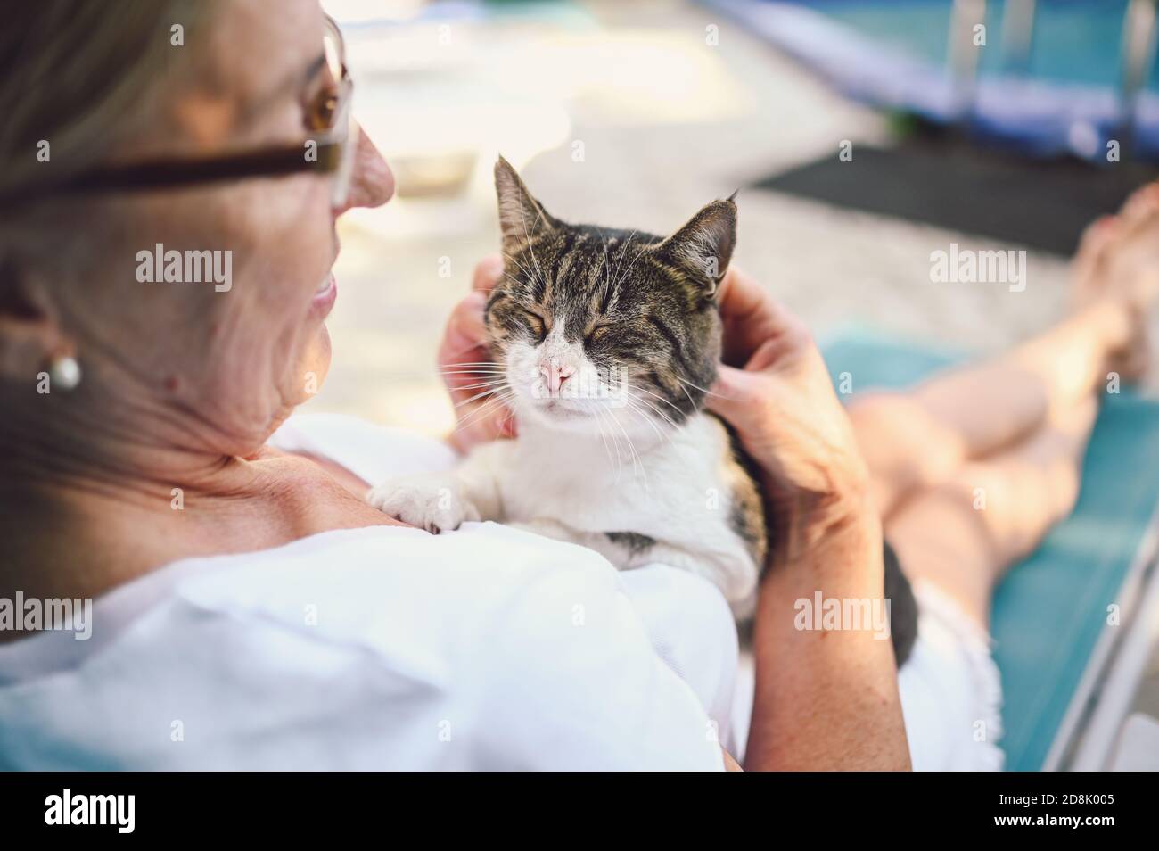 Heureuse femme âgée souriante dans des verres se détendre dans le jardin d'été à l'extérieur embrassant domestique tabby chat. Concept de vieux retraités et animaux de compagnie Banque D'Images