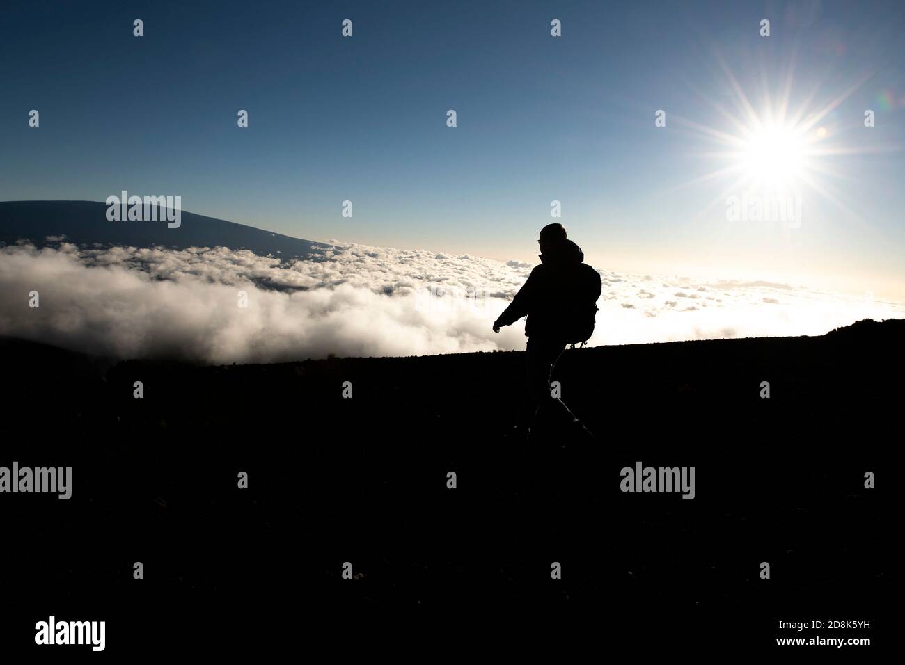 Une randonnée touristique en admirant la vue à couper le souffle du volcan Mauna kea sur la Grande île d'Hawaï. Banque D'Images