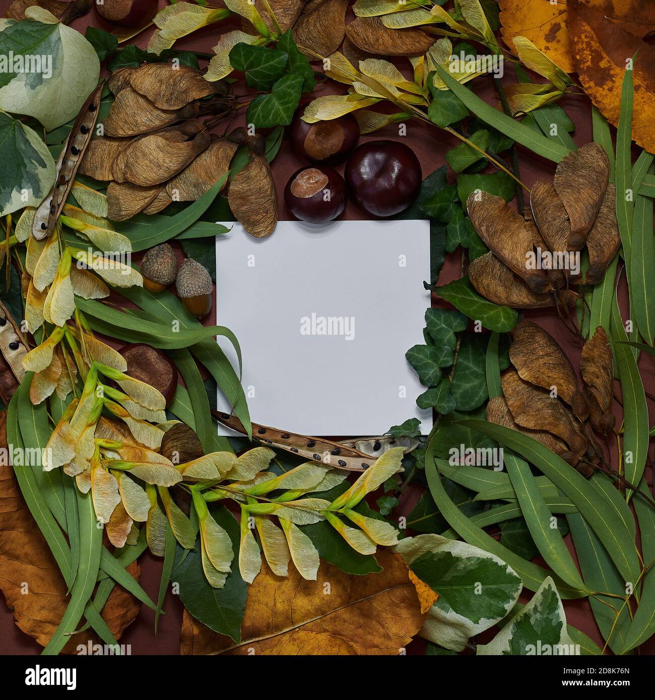 Une mise en page créative avec des feuilles d'automne naturelles et des notes de carte en papier. Arrière-plan de la mise à plat minimal Banque D'Images