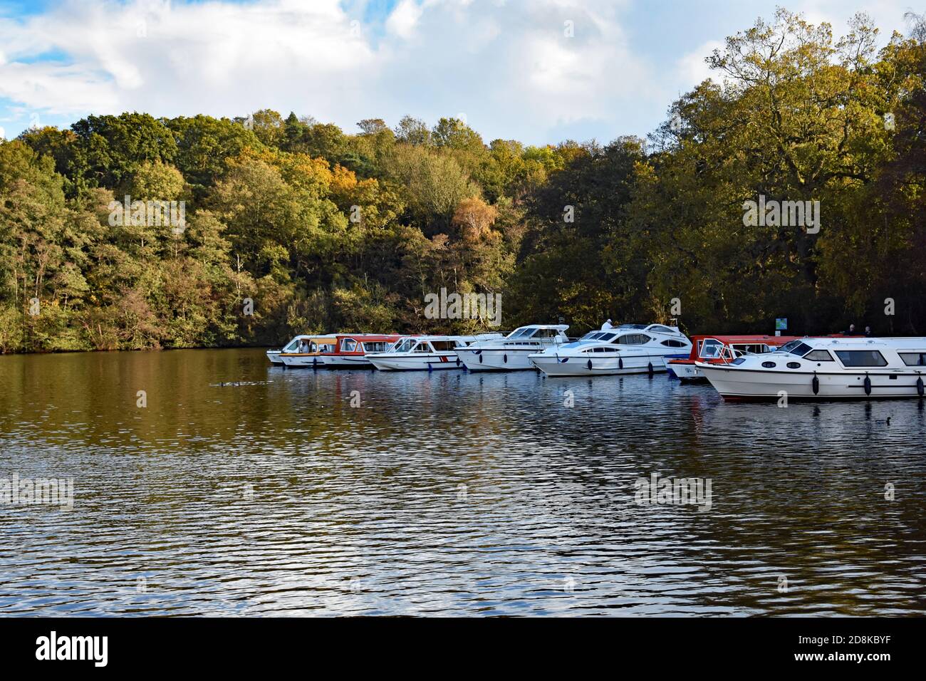 De petits bateaux privés sont amarrés au bord de la Salhouse large bordée d'arbres dans le parc national Broads, Norfolk, Royaume-Uni. Le soleil brille sur les arbres. Banque D'Images