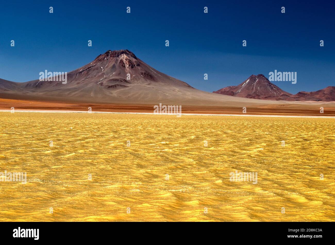 Laguna Lejía est un lac salé situé dans l'Altiplano de la région d'Antofagasta au nord du Chili. Banque D'Images