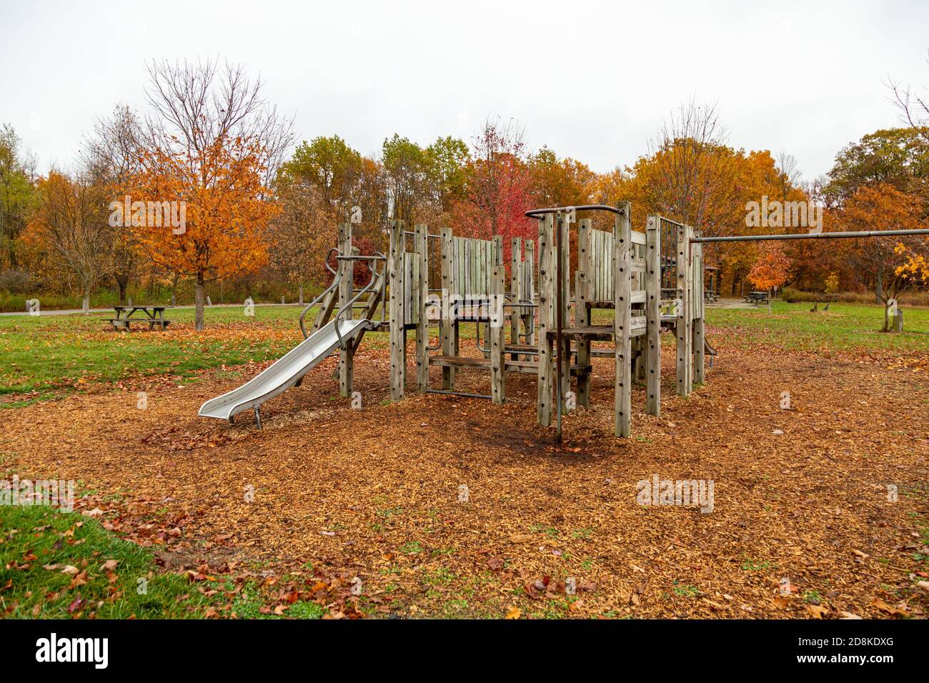 Une salle de gym dans la jungle se trouve près des arbres colorés dans le terrain de jeu du parc du comté de Metea dans le comté d'Allen, Indiana, États-Unis. Banque D'Images