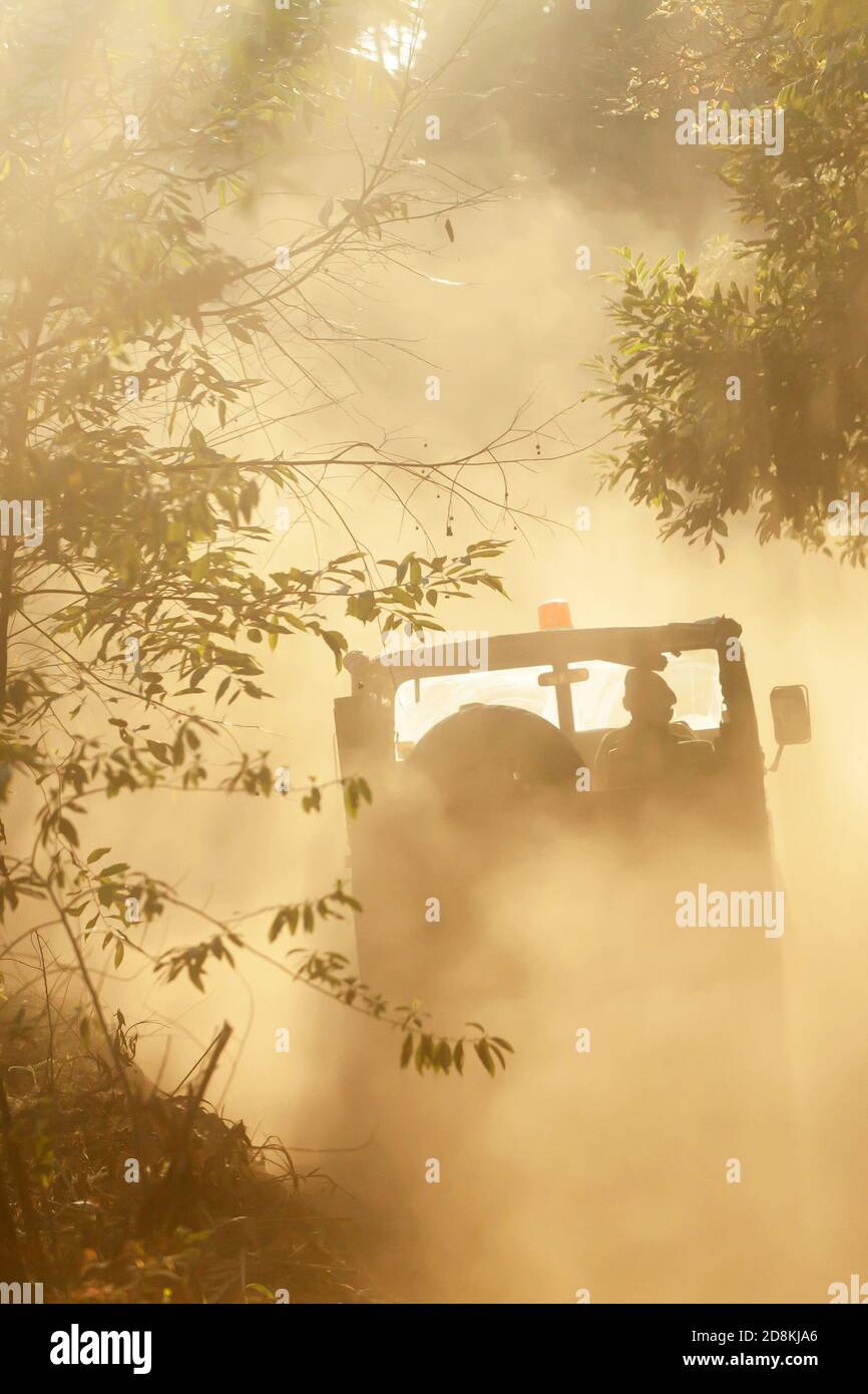 Vue arrière d'une jeep militaire conduite sur une route poussiéreuse dans une forêt. Banque D'Images