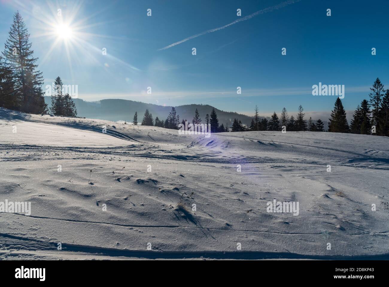 Paysage de montagne d'hiver avec neige, arbres, collines sur le fond et ciel clair avec soleil sur Cienkow crête de montagne dans les montagnes de Beskid Slaski près de Wisl Banque D'Images