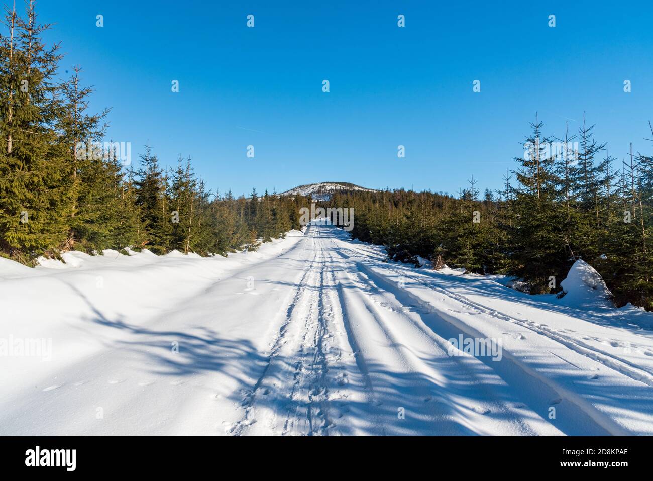 Paysage d'hiver avec route enneigée, arbres autour, colline sur le fond et ciel clair en dessous de la colline Zielony Kopiec dans les montagnes de Beskid Slaski à Pol Banque D'Images