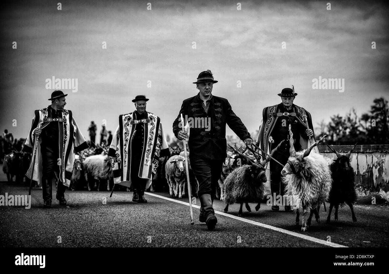 Bergers hongrois en vêtements traditionnels dans la région rurale de Hortobagy, dans l'est de la Hongrie Banque D'Images