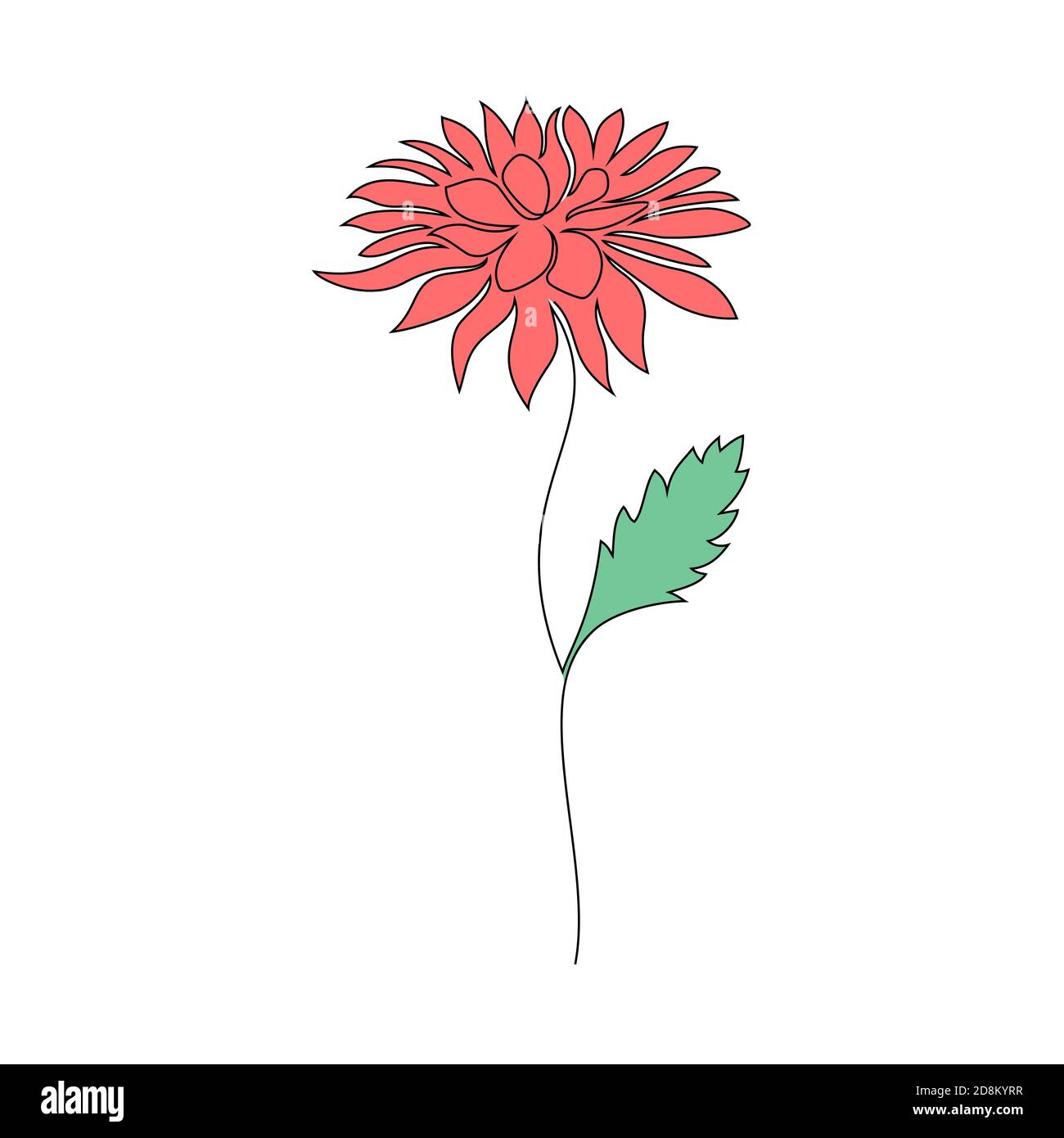 Fleur de chrysanthème sur blanc Illustration de Vecteur