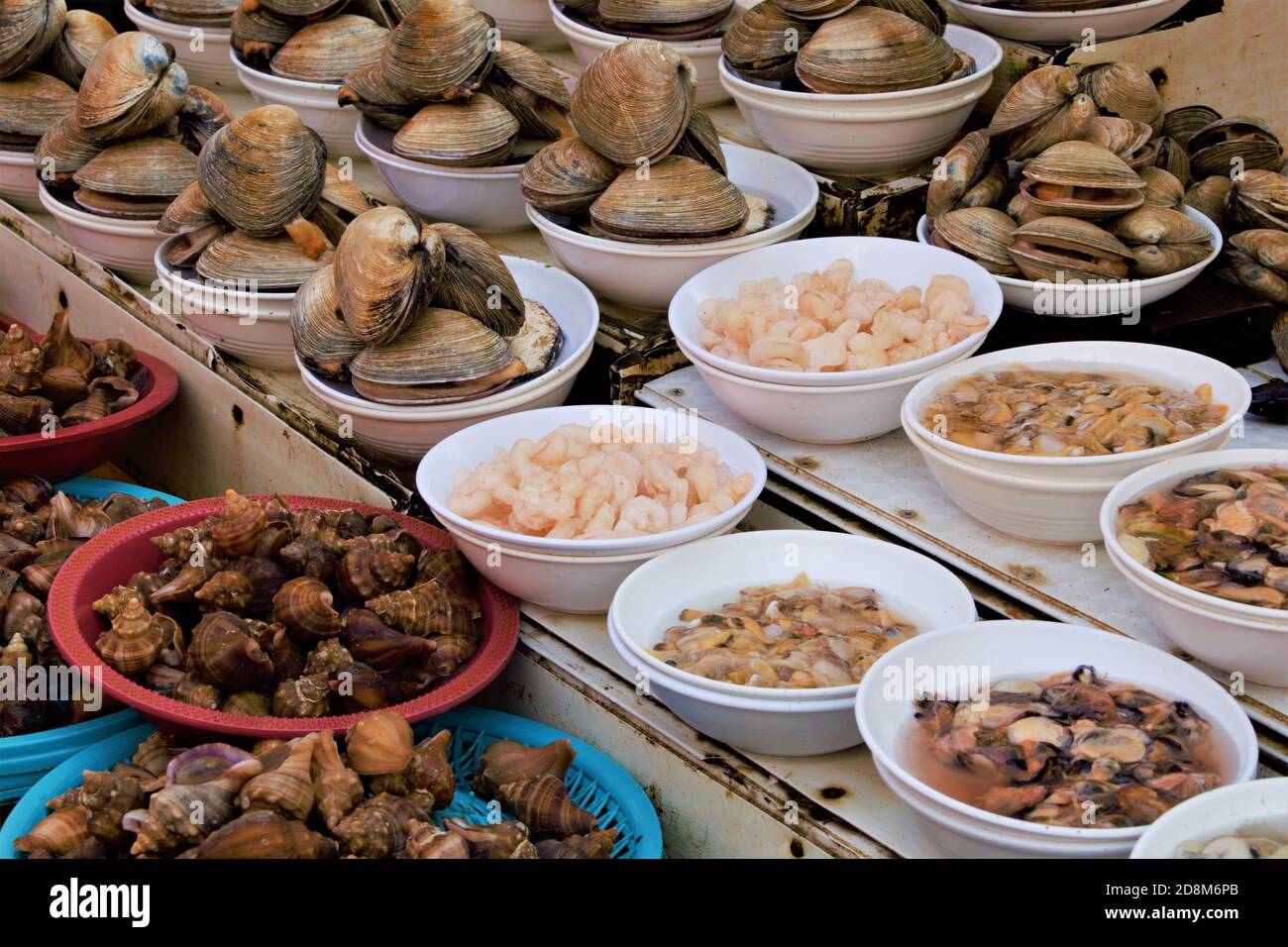Fruits de mer frais au marché aux poissons de Jagalchi, Busan, Corée Banque D'Images