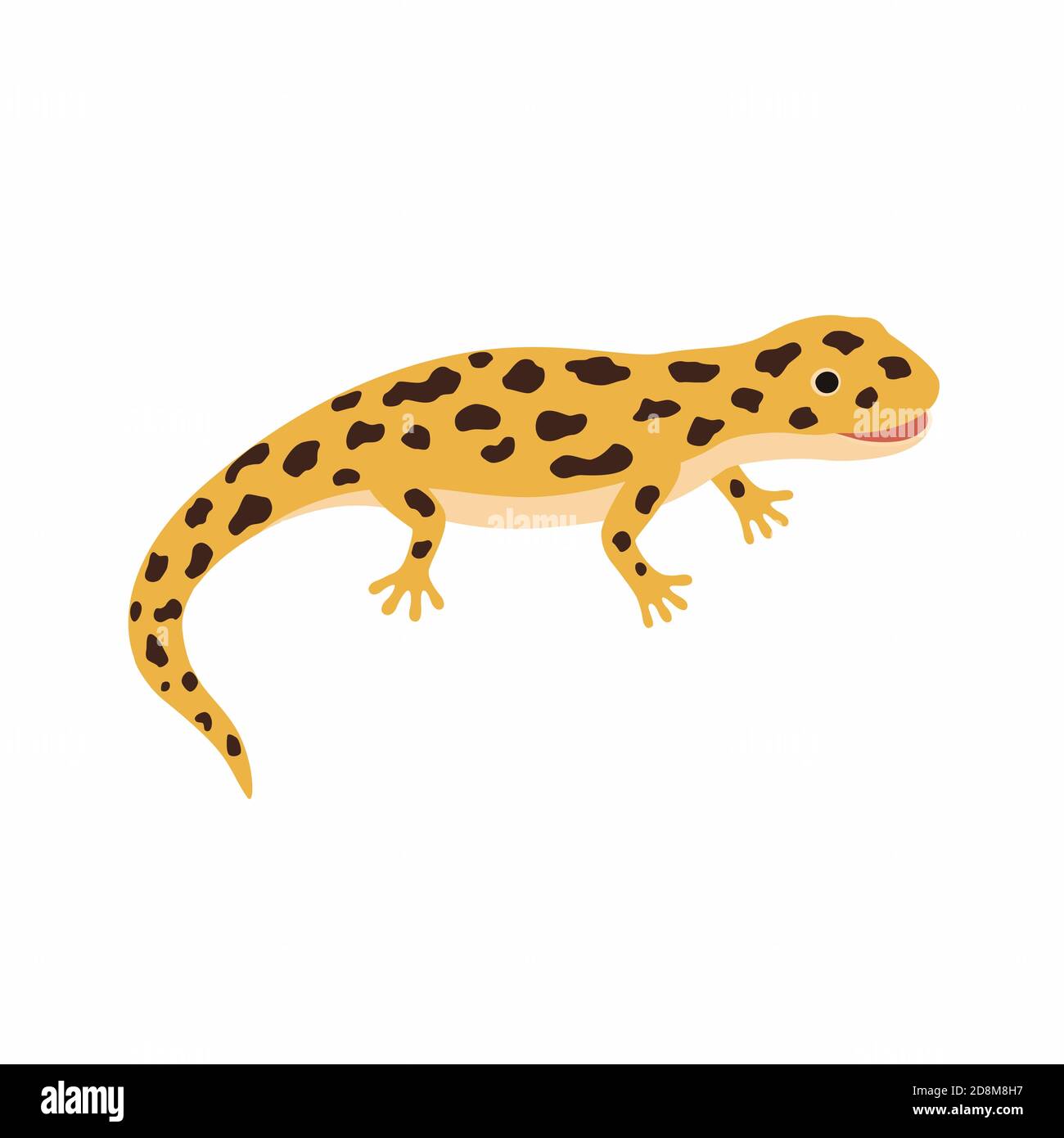 Lézard jaune, salamandre tacheté isolé sur fond blanc. Illustration de Vecteur