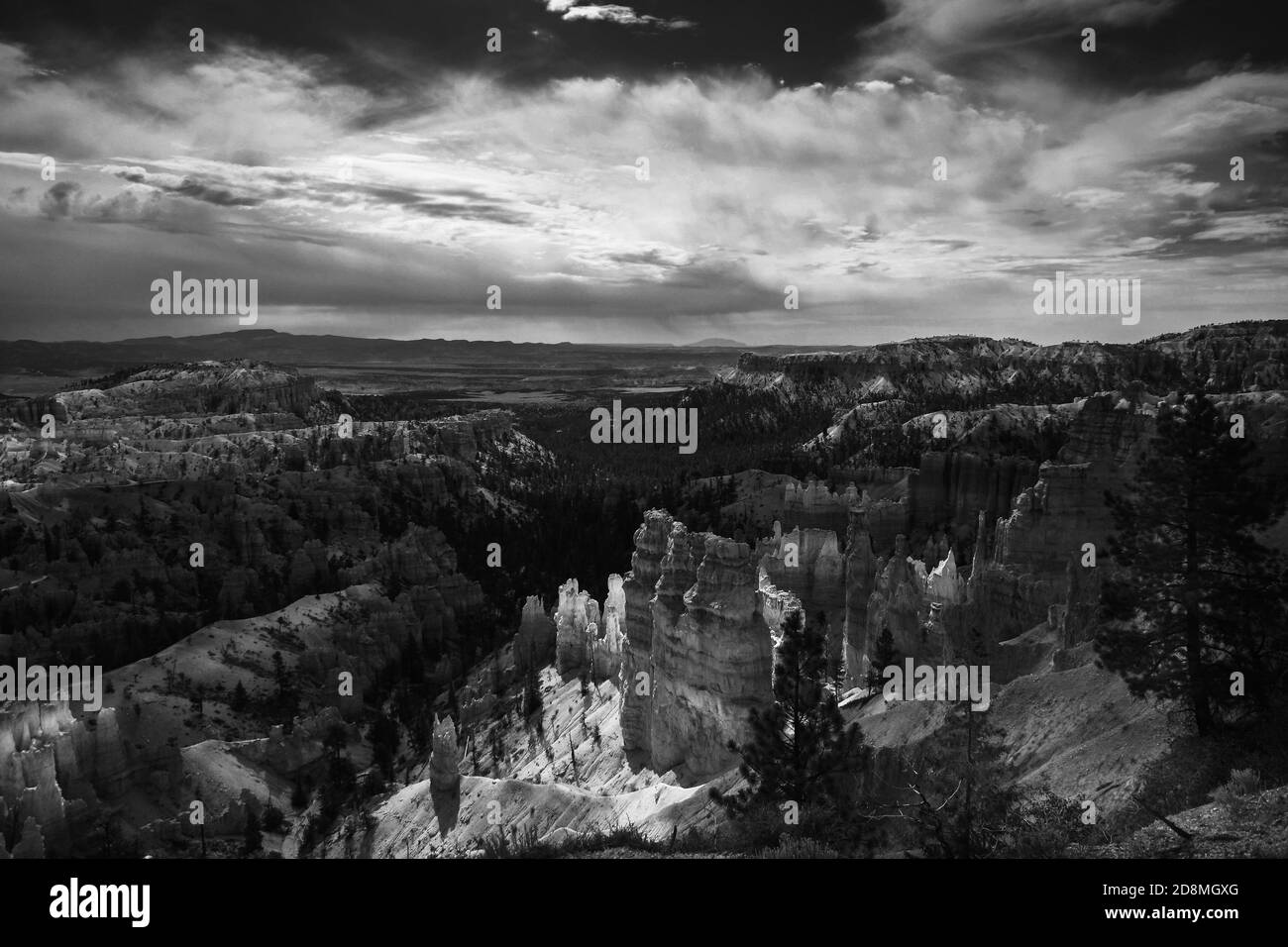 Bryce Canyon National Perk, États-Unis, Balck et White Banque D'Images