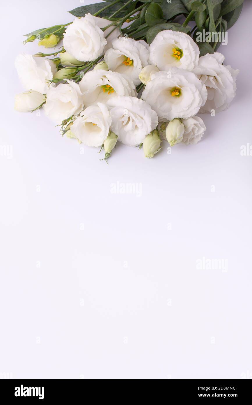 Bouquet de fleurs d'eustoma blanches sur fond de papier blanc. Banque D'Images