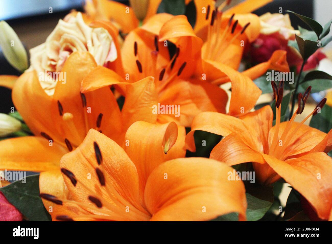 Gros plan bouquet/bouquet de grands lys d'Orange County (Lilium) et roses d'orange (Rosa), fleurs d'orange Banque D'Images