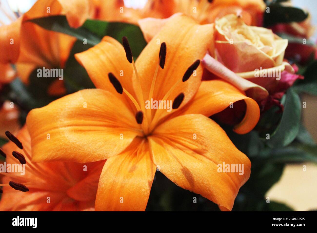 Gros plan sur le nénuphars roi d'Orange County (Lilium) dans un bouquet/bouquet de fleurs d'orange Banque D'Images