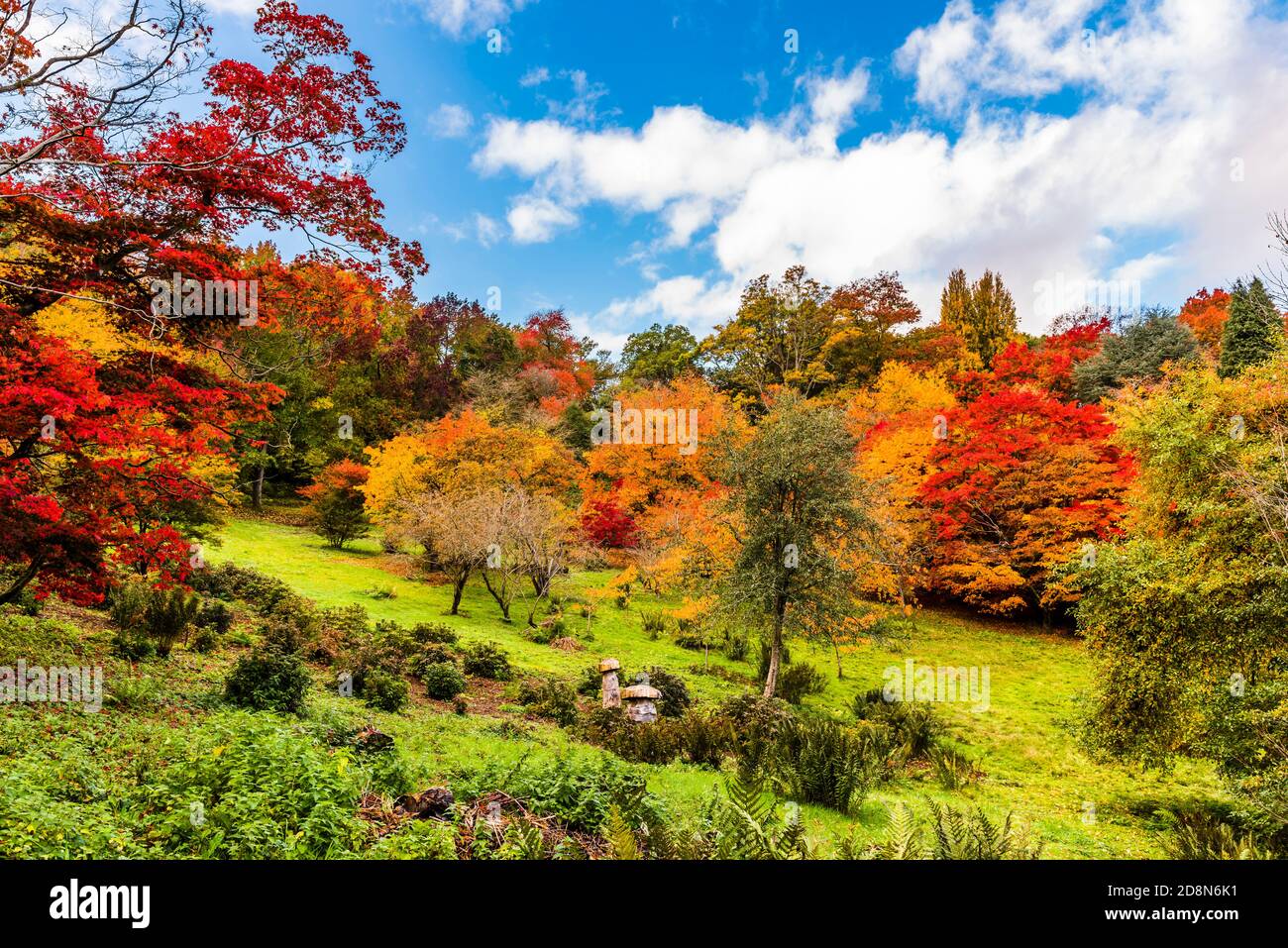 Couleurs d'automne dans le bol de l'arboretum Winkworth, Surrey, Royaume-Uni Banque D'Images