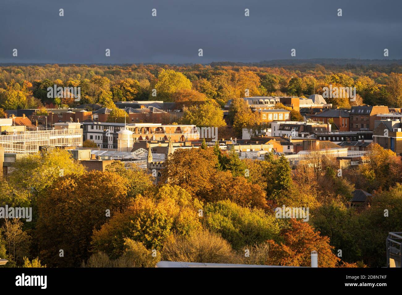 Une vue aérienne sur le centre-ville de Basingstoke avec des arbres d'automne orange, rouge et marron pris en fin d'après-midi sous le soleil couchant, Hampshire, Royaume-Uni Banque D'Images