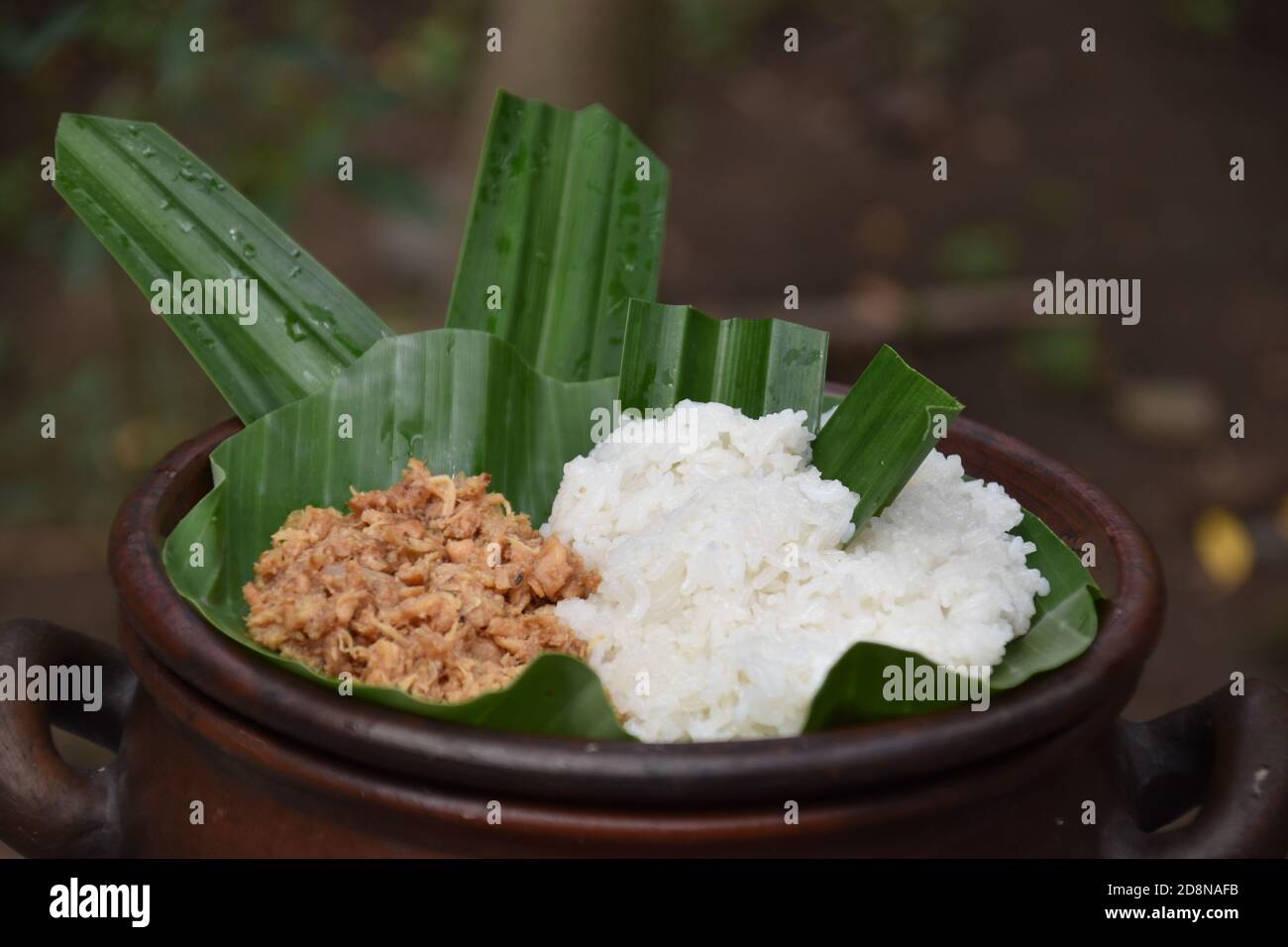 Nourriture indonésienne; riz gluant et poulet râpé servi sur des feuilles de banane Banque D'Images