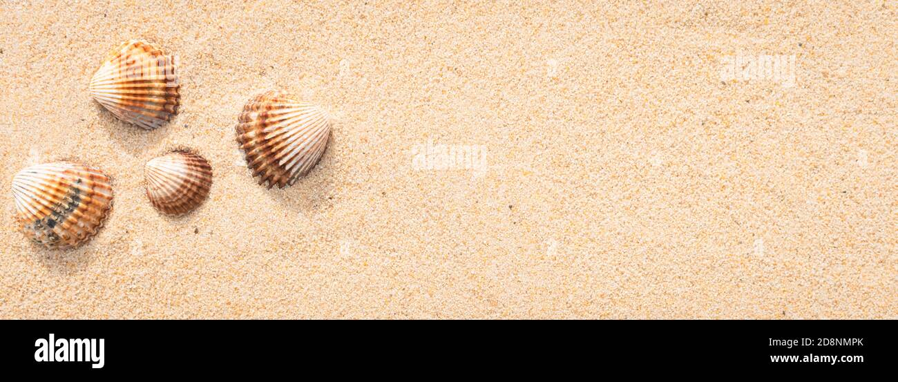 Grains de fond de sable de mer, sable fin de plage. Banque D'Images